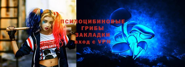 винт Алзамай