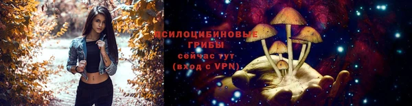 мяу мяу кристалл Алексин