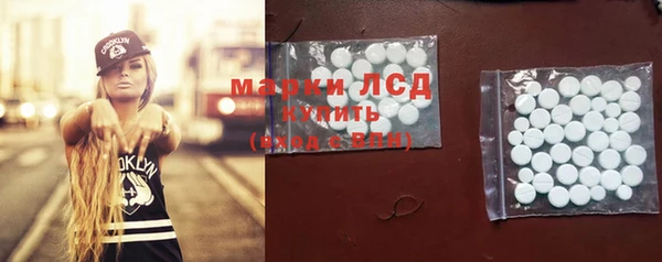 винт Алзамай